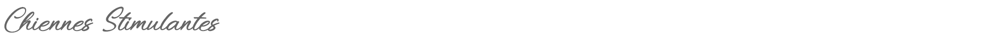Chiennes Stimulantes Chiennes Stimulantes.ttf font preview